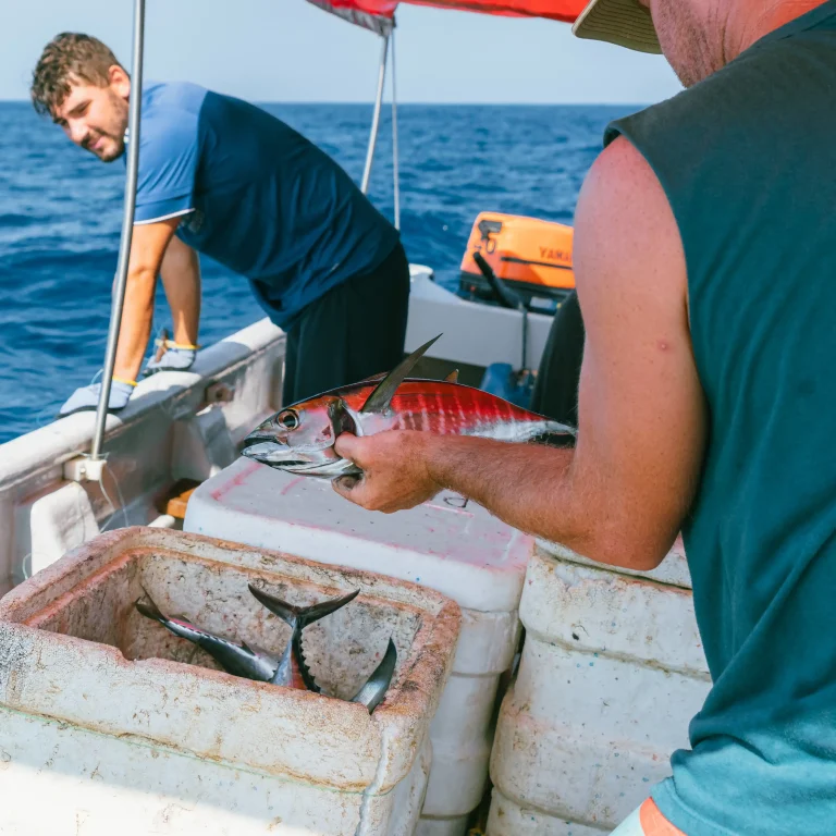 Fishing Trip La Playita Hostel-24_4_11zon