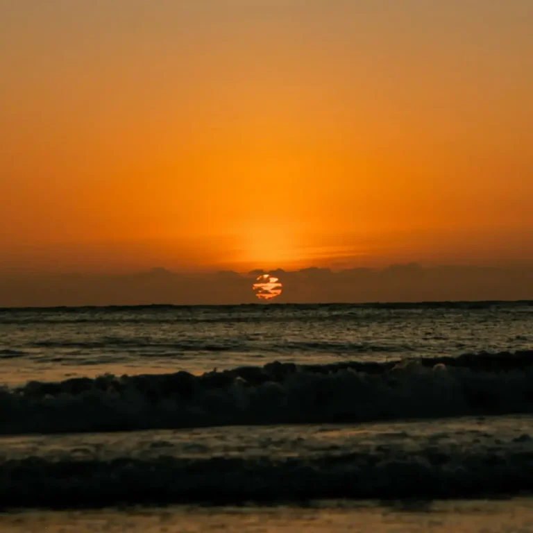 Caminata y atardecer 1