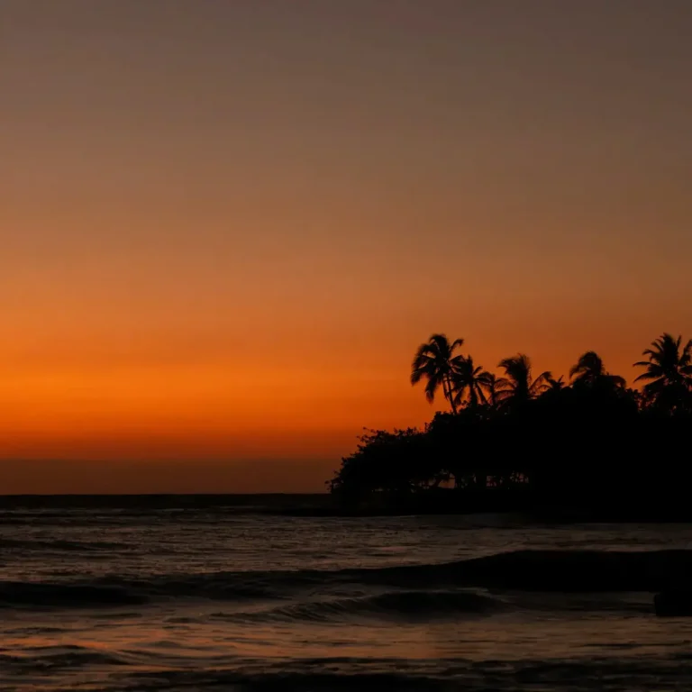 Caminata y atardecer 2