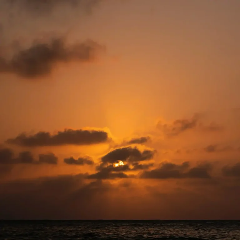 Caminata y atardecer 4