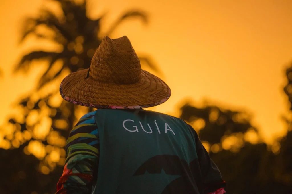 Guía