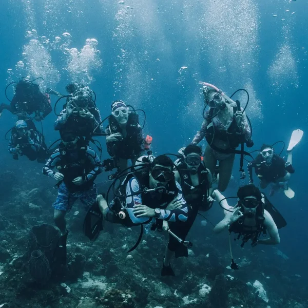 Certificación PADI Open Water Diver